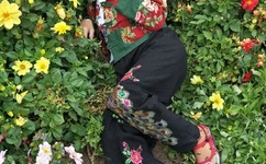 公交车上一个接一个c